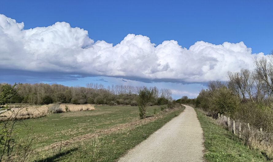 Laufen von Maaseik bis Magdeburg